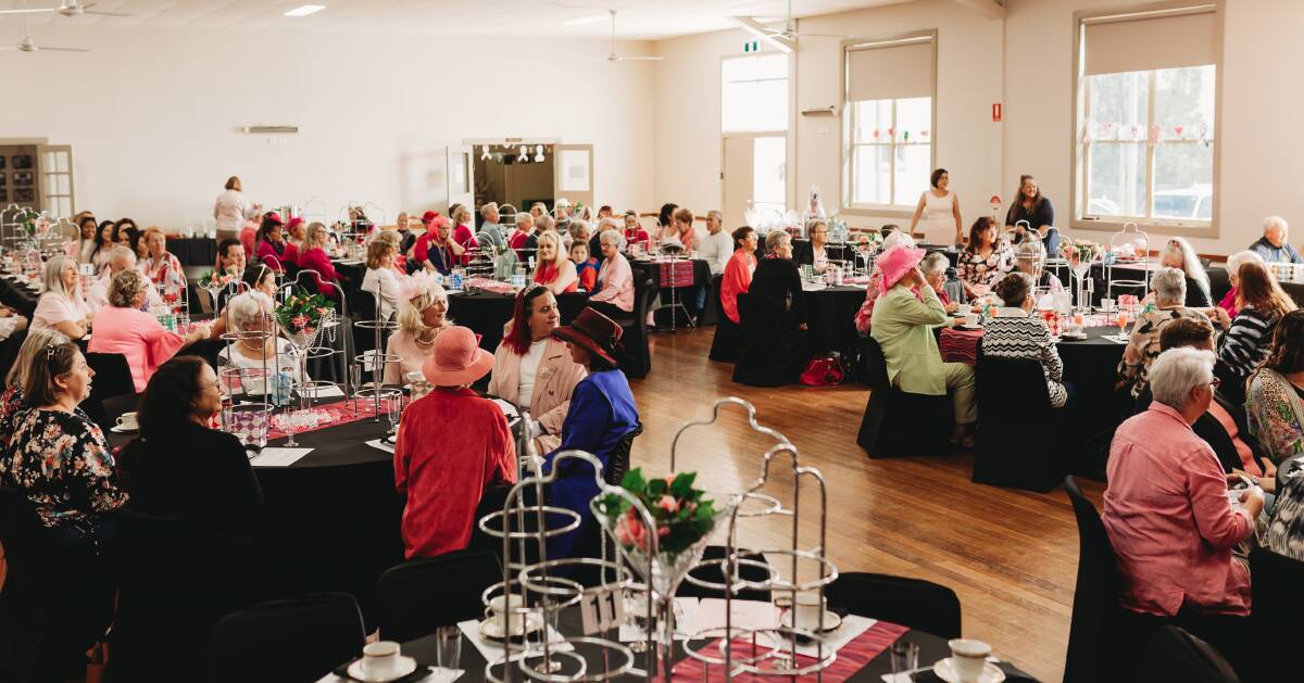 Dress in Pink high tea at Branxton Community Hall, 10/10/22. Pictures supplied.