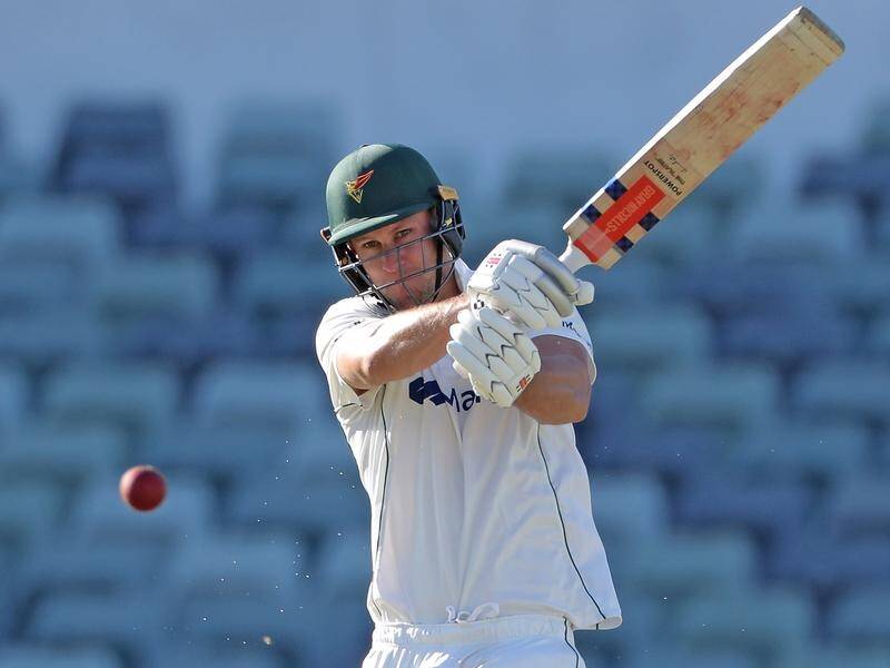 Beau Webster could do no wrong with the bat as he racked up an unbeaten 167 for Tasmania. (Richard Wainwright/AAP PHOTOS)