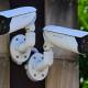 New security measures for Services Australia include live monitoring of CCTV at a central centre. (Lukas Coch/AAP PHOTOS)