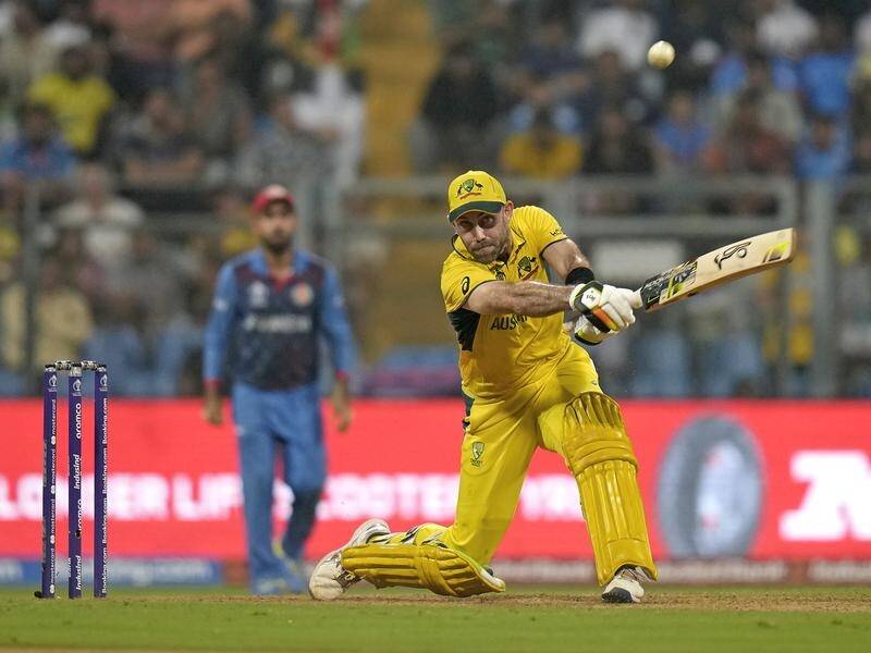 Afghanistan could only watch as Glenn Maxwell hammered one of the great ODI World Cup innings. (AP PHOTO)